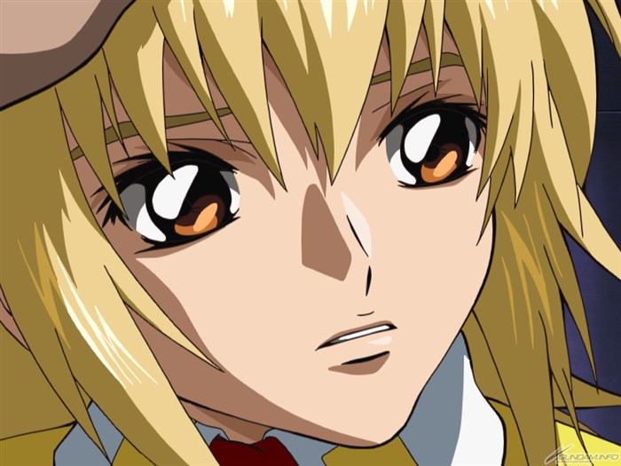 Q．とちぎテレビ『機動戦士ガンダムSEED HDリマスター』10/4より放送