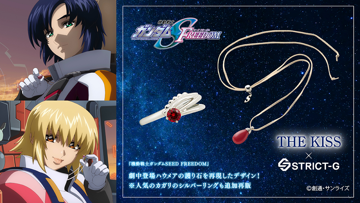 機動戦士ガンダムSEED DESTINY スペシャルエディション | GUNDAM