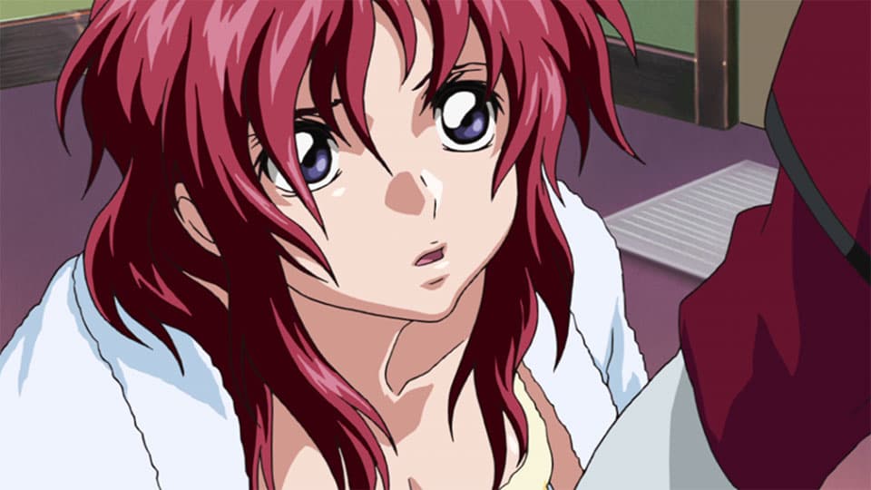 アスラン脱走_36