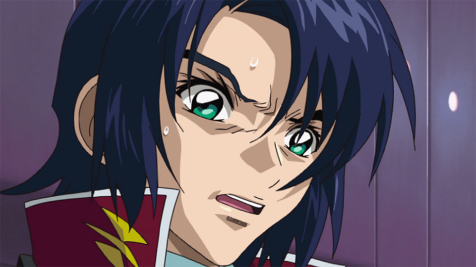 舞い降りる剣_33