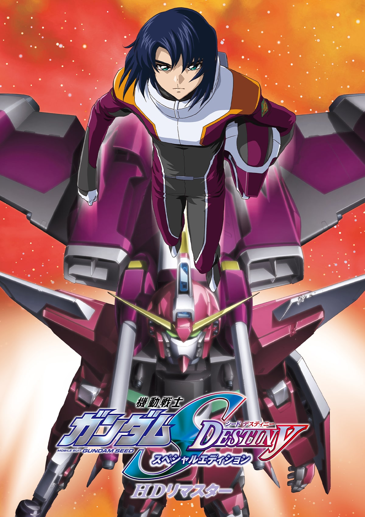 機動戦士ガンダムSEED DESTINY ビジュアル2